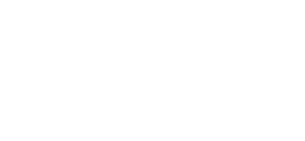 stan na dan