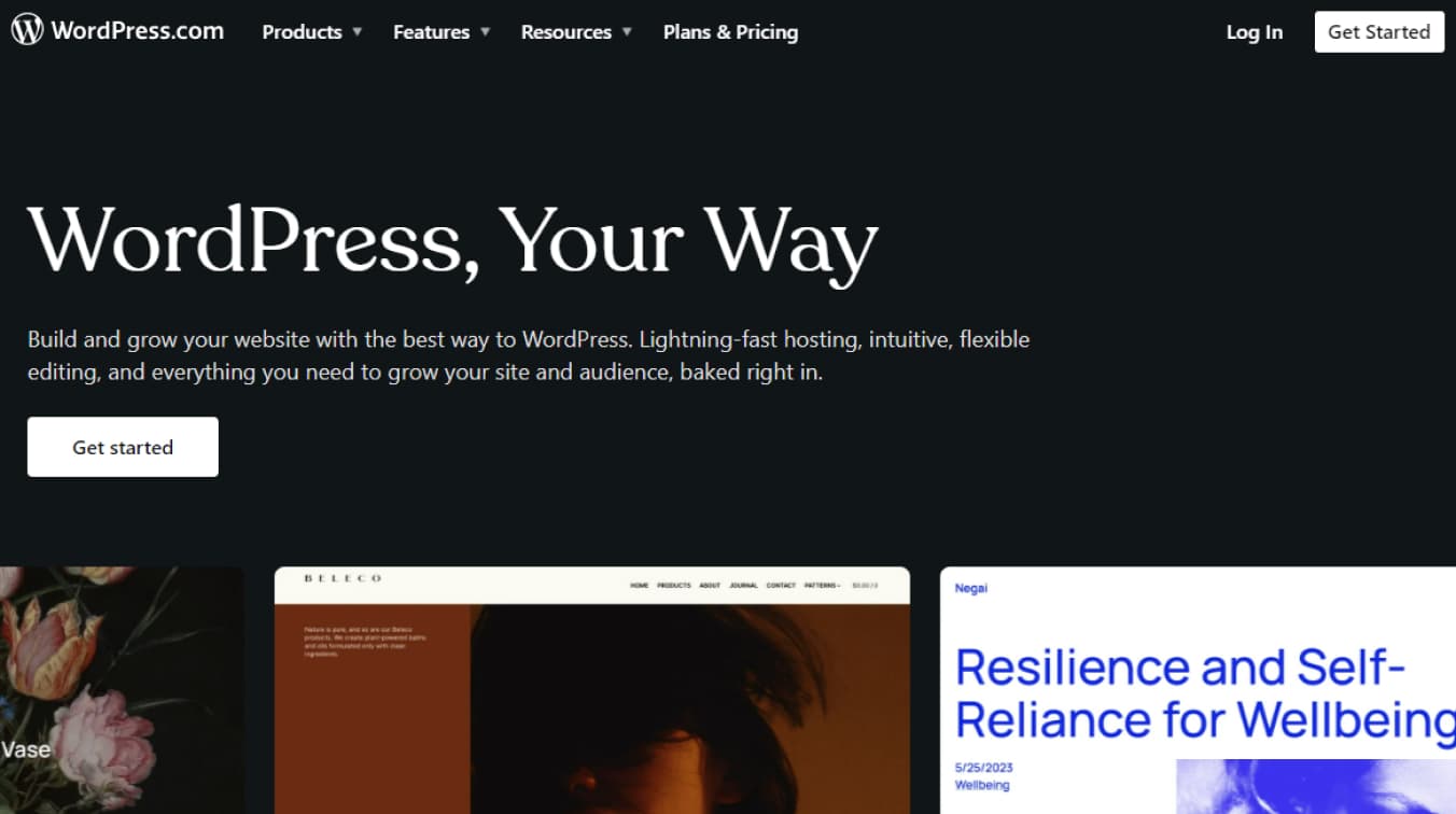 Best Headless CMS is Headless WordPress