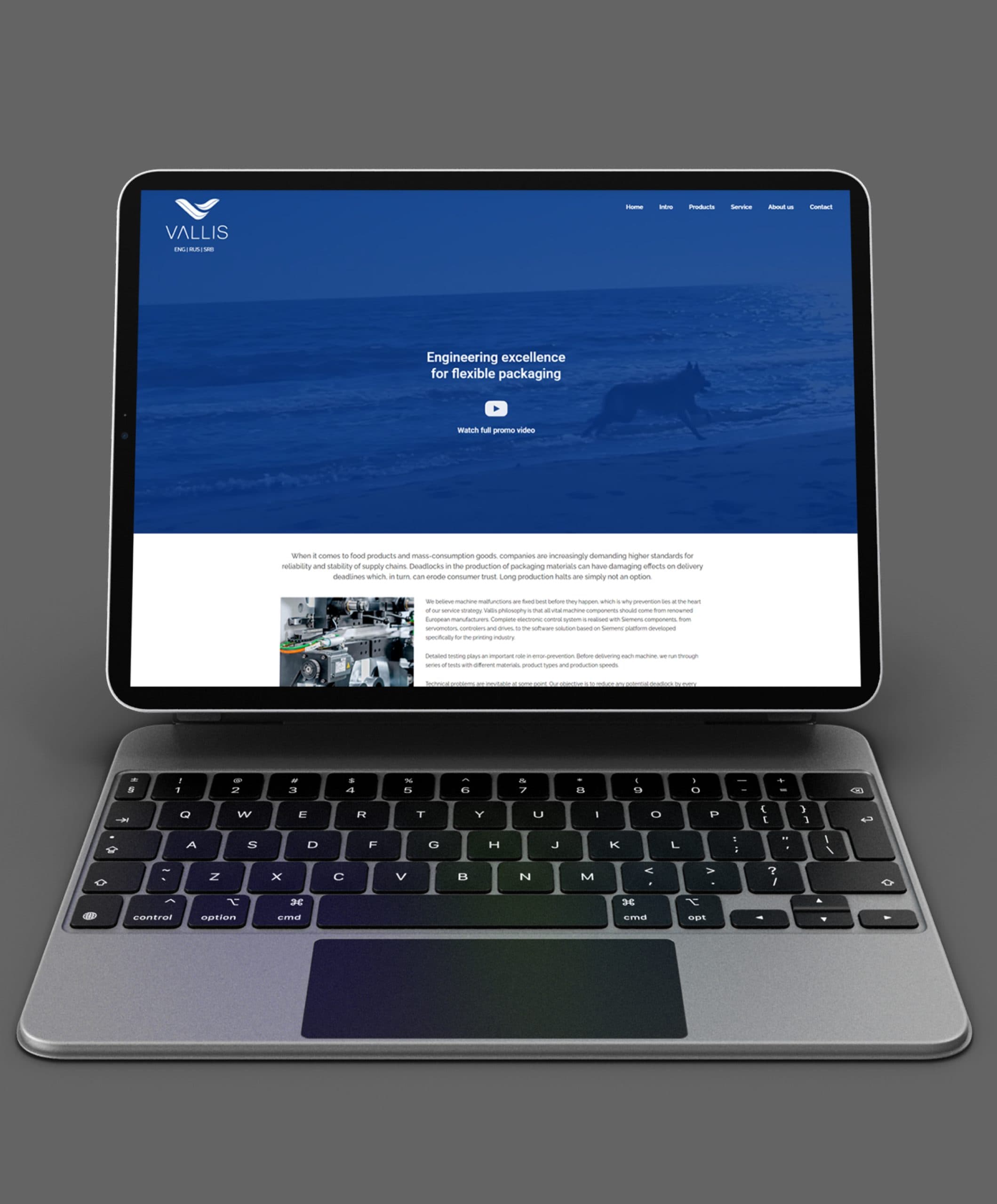 Development a fast, reliable website with a simple, business-oriented design for a growing manufacturing and distribution company of various flexible printing machines
