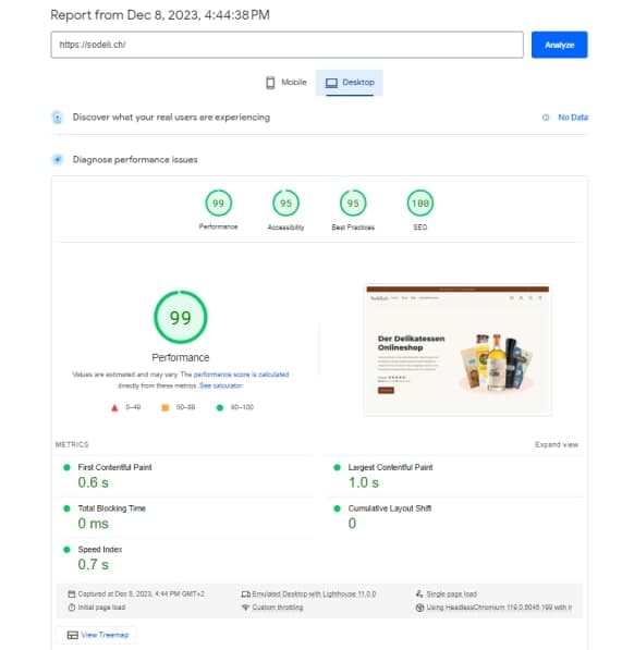 Google Page Speed insights Score Desktop passed
