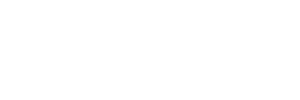 Niagara networks logo